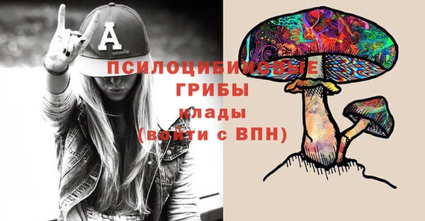 MDMA Белокуриха