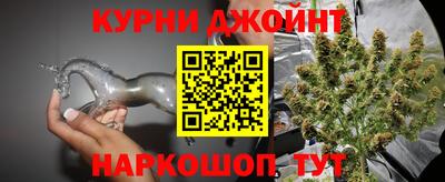 сатива Бугуруслан