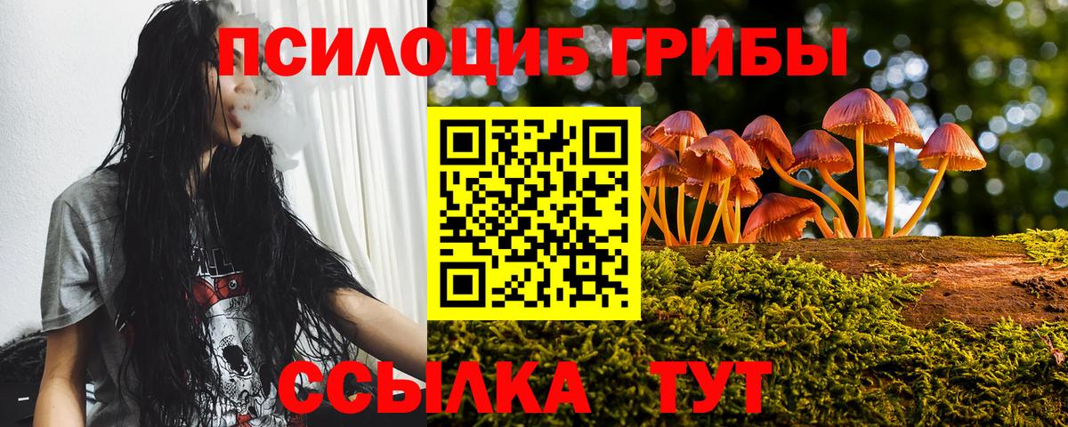 Псилоцибиновые грибы мицелий Дзержинский