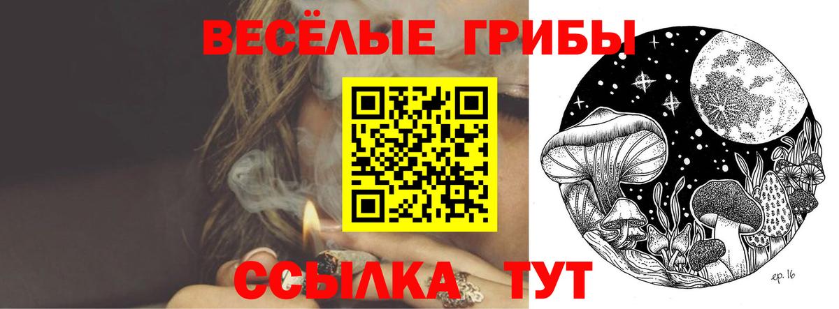 Псилоцибиновые грибы GOLDEN TEACHER  Вход с VPN  наркотики  Дзержинский 